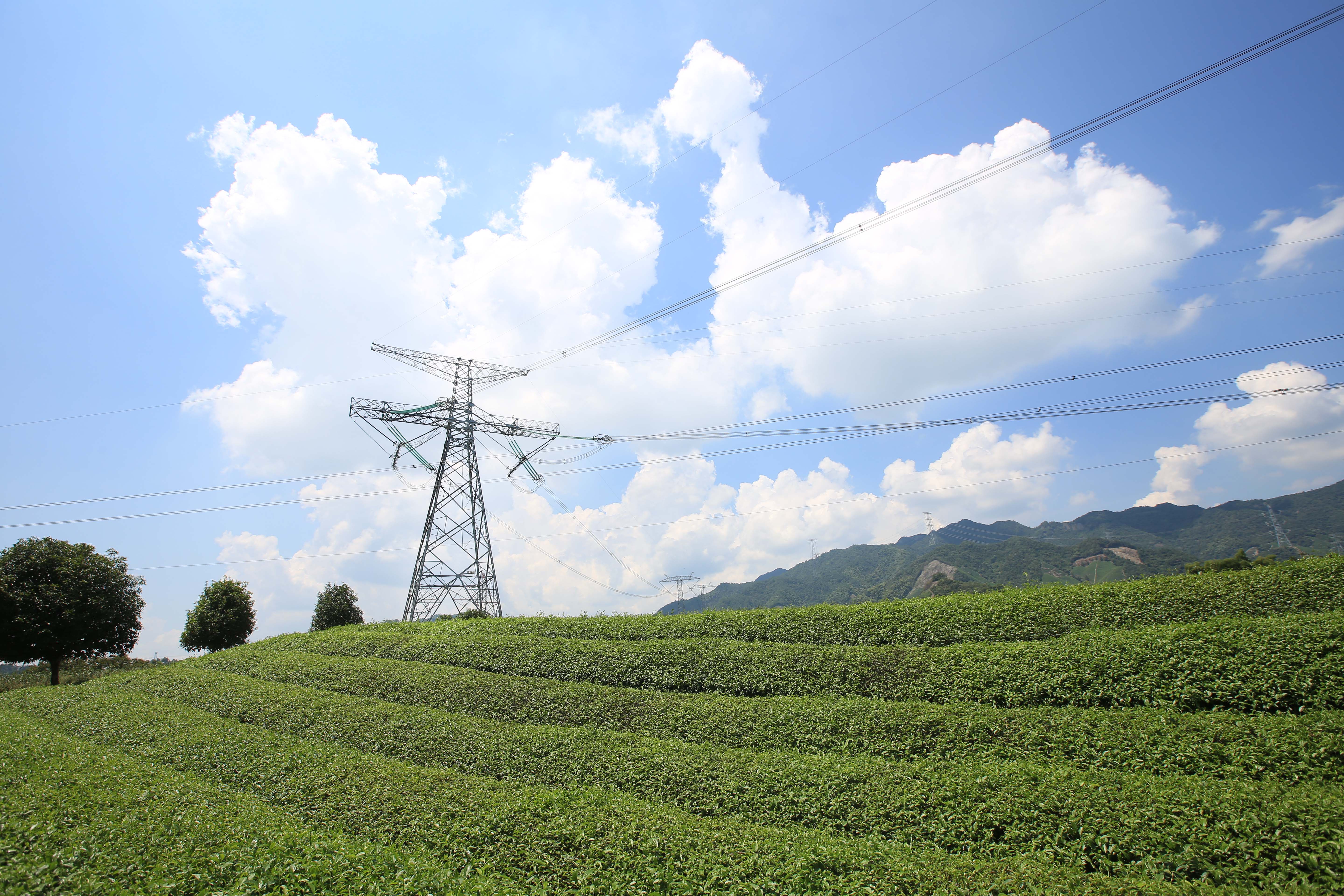 Ϫ���&mdash;����&plusmn;800kV�ظ߉�ֱ��ݔ늾�·